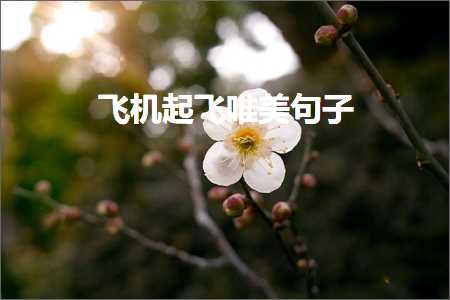 古风唯美句子梅花（文案67条）